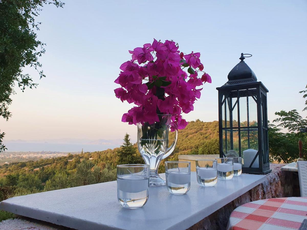 Orea Ellas Kos - Apartments & Bistro-Cafe Lagoudi Zia Exteriér fotografie
